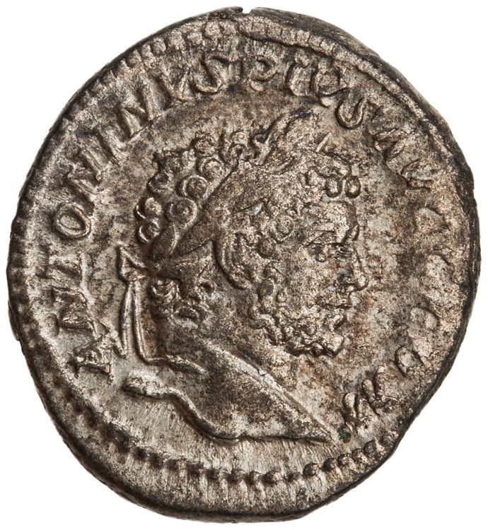 RIC IV Caracalla 307, аверс, American Numismatic Society (ans)