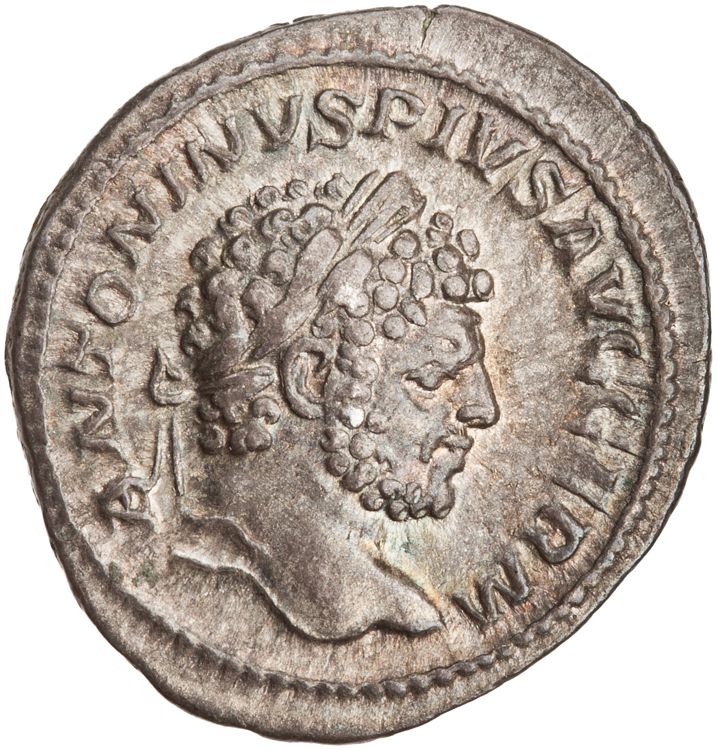 RIC IV Caracalla 307, аверс, American Numismatic Society (ans)