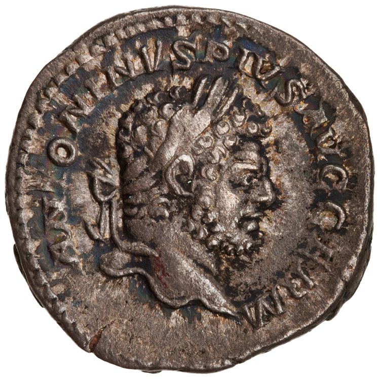 RIC IV Caracalla 308, аверс, American Numismatic Society (ans)