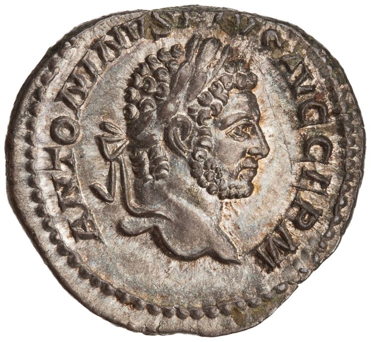 RIC IV Caracalla 240, аверс, American Numismatic Society (ans)