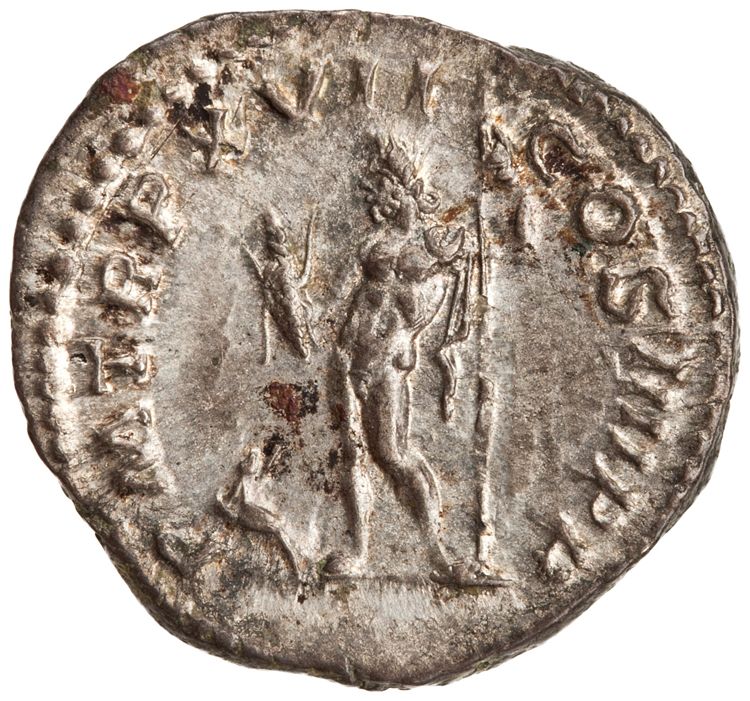 RIC IV Caracalla 240, реверс, American Numismatic Society (ans)