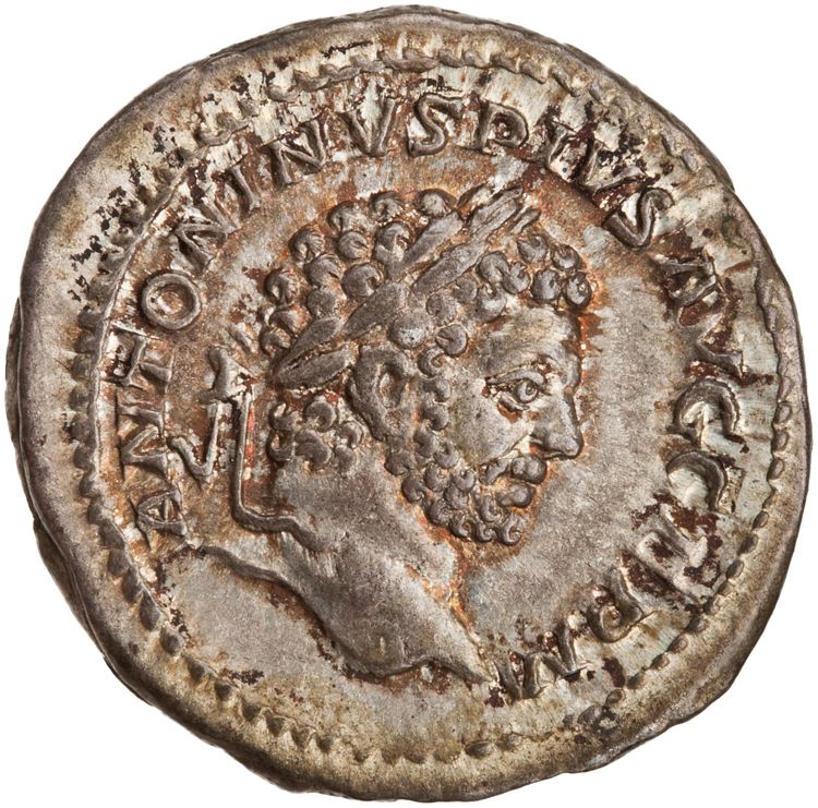 RIC IV Caracalla 251, аверс, American Numismatic Society (ans)
