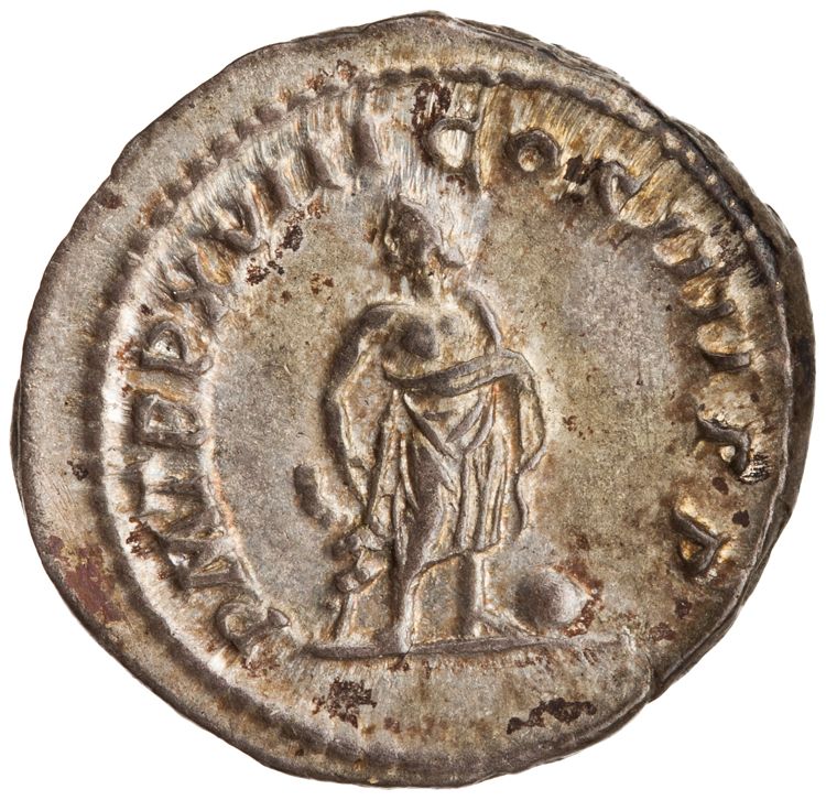 RIC IV Caracalla 251, реверс, American Numismatic Society (ans)