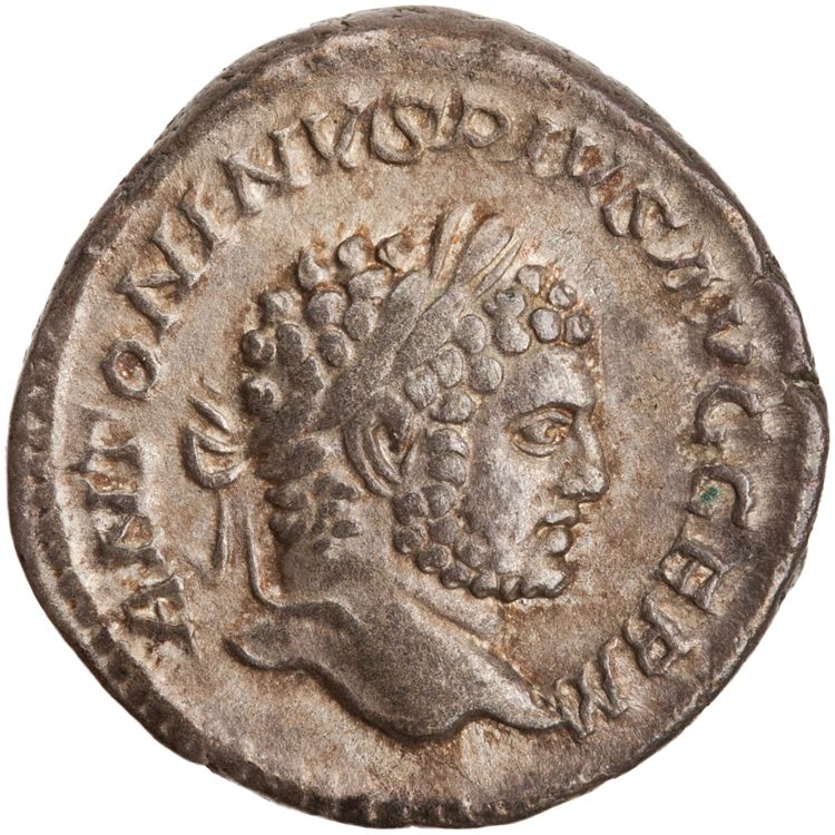 RIC IV Caracalla 251, аверс, American Numismatic Society (ans)