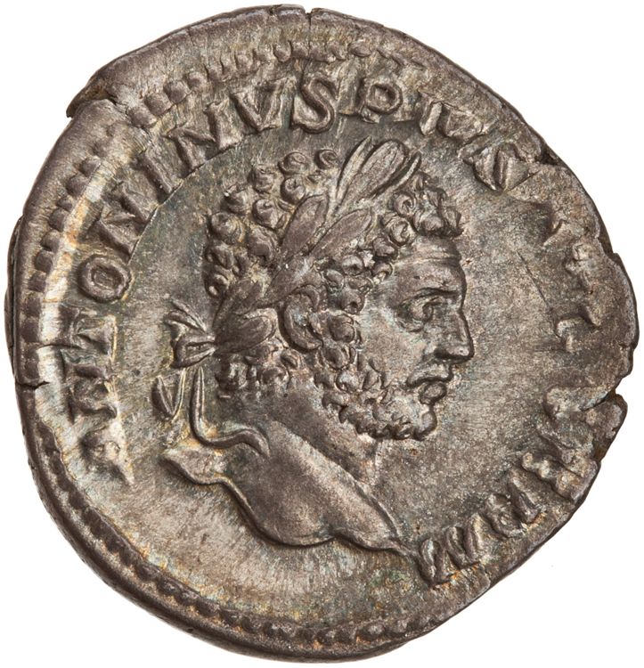 RIC IV Caracalla 253, аверс, American Numismatic Society (ans)
