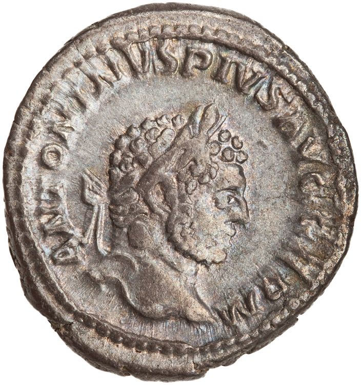 RIC IV Caracalla 254, аверс, American Numismatic Society (ans)