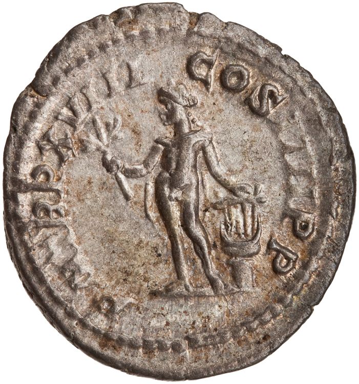 RIC IV Caracalla 254, реверс, American Numismatic Society (ans)