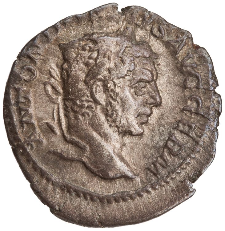 RIC IV Caracalla 261A (denarius), obverse, American Numismatic Society (ans)