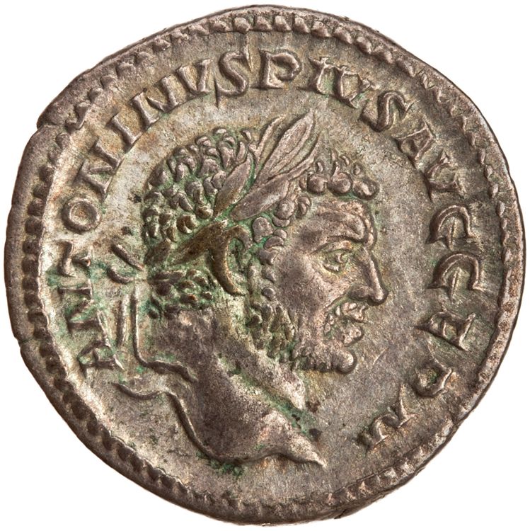 RIC IV Caracalla 264A, аверс, American Numismatic Society (ans)