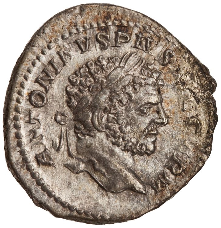 RIC IV Caracalla 267, аверс, American Numismatic Society (ans)
