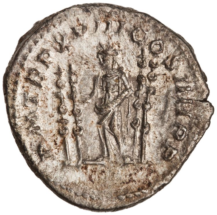 RIC IV Caracalla 267, реверс, American Numismatic Society (ans)