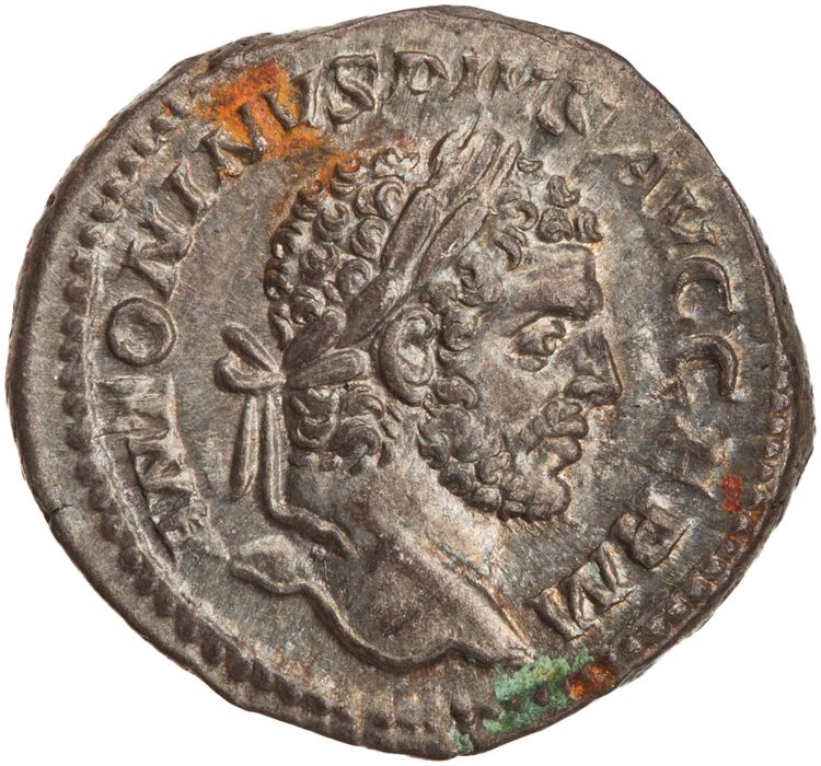 RIC IV Caracalla 268, аверс, American Numismatic Society (ans)