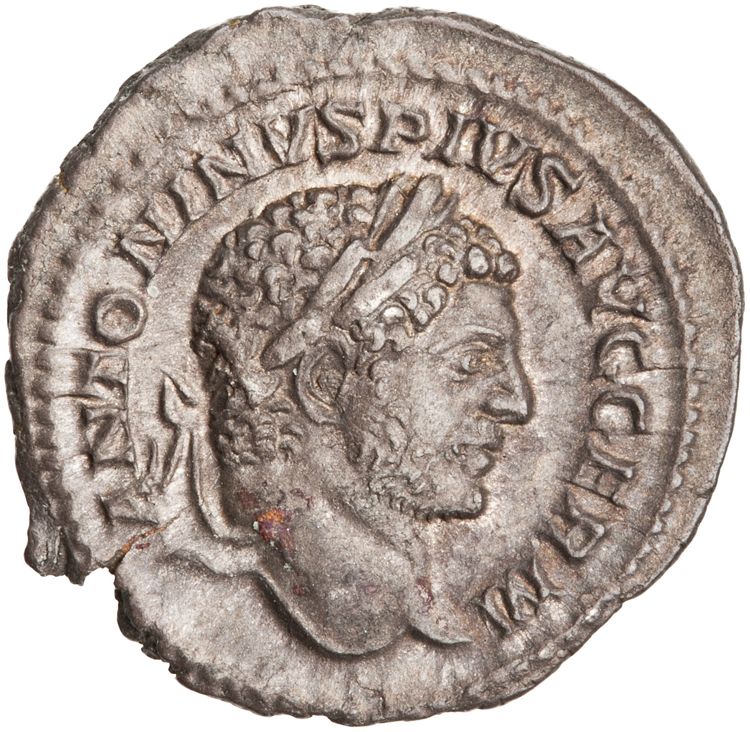 RIC IV Caracalla 275A (denarius), obverse, American Numismatic Society (ans)
