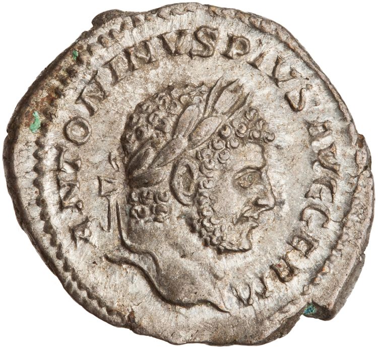 RIC IV Caracalla 275A (denarius), obverse, American Numismatic Society (ans)