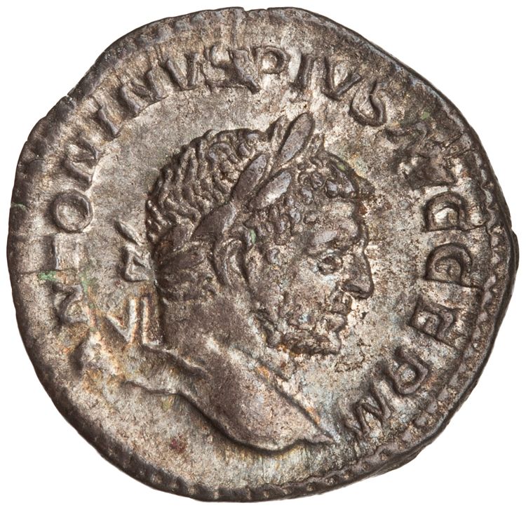 RIC IV Caracalla 293D, аверс, American Numismatic Society (ans)