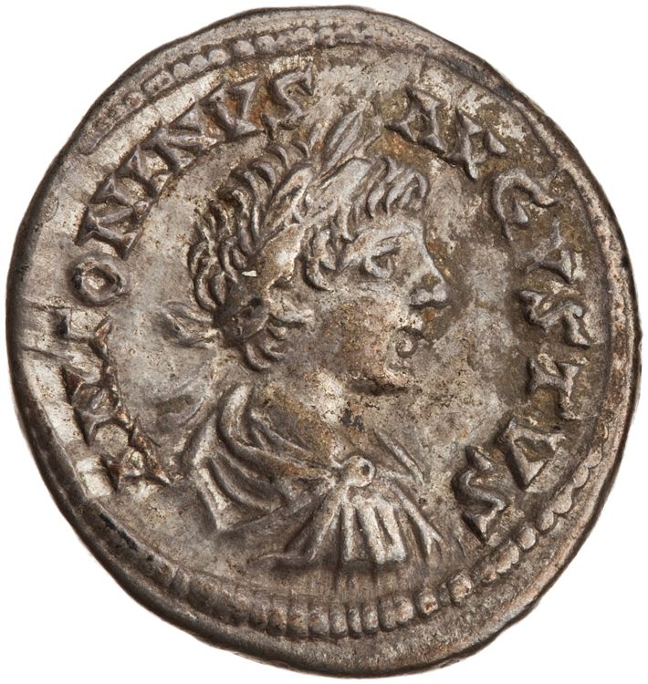 RIC IV Caracalla 354, аверс, American Numismatic Society (ans)