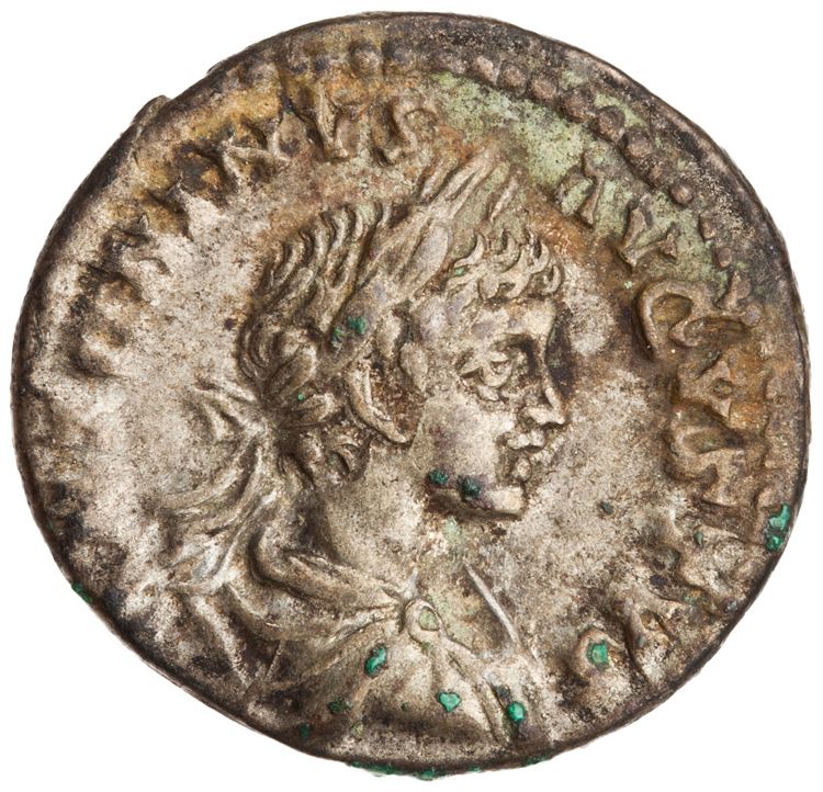 RIC IV Caracalla 344b, аверс, American Numismatic Society (ans)