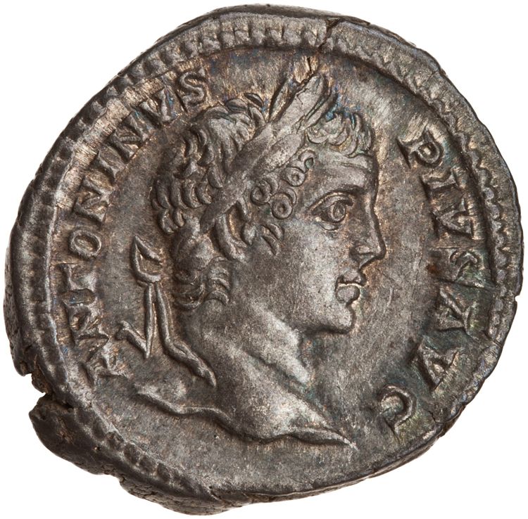 RIC IV Caracalla 179, obverse, American Numismatic Society (ans)