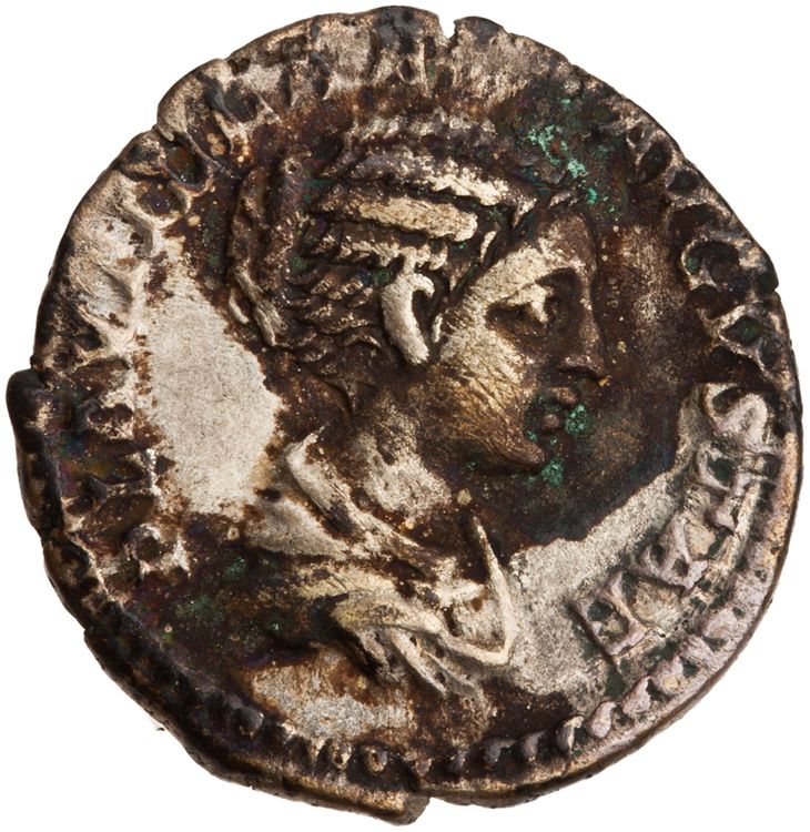 RIC IV Caracalla 362 (denarius), аверс, American Numismatic Society (ans)