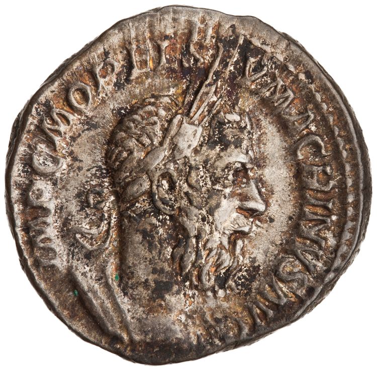 RIC IV Macrinus 92b, аверс, American Numismatic Society (ans)