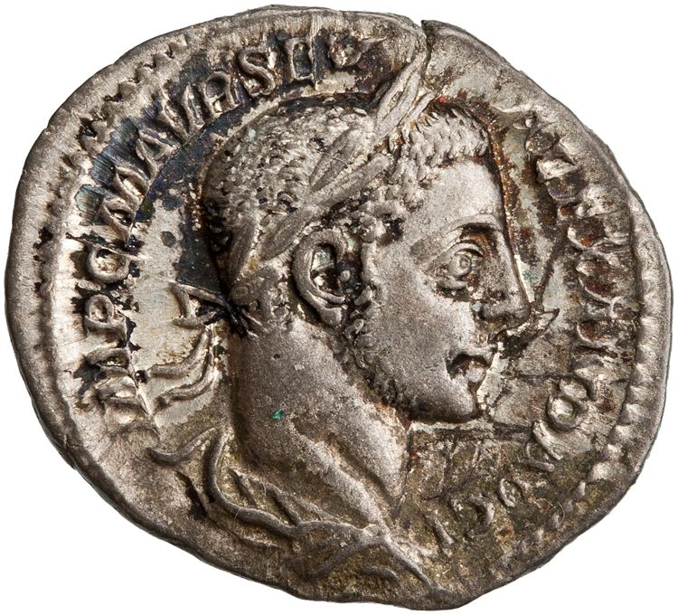 RIC IV Severus Alexander 50, obverse, American Numismatic Society (ans)