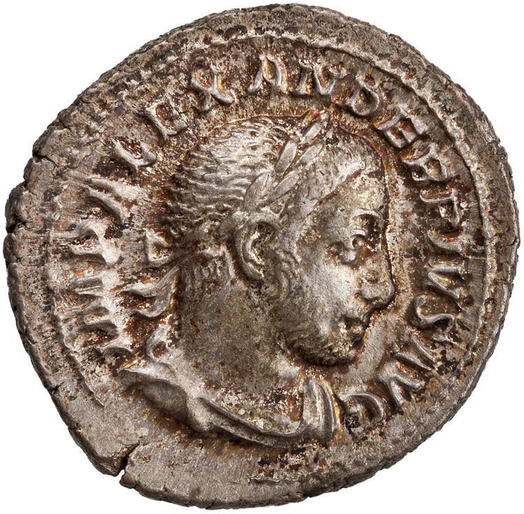 RIC IV Severus Alexander 114c, аверс, American Numismatic Society (ans)