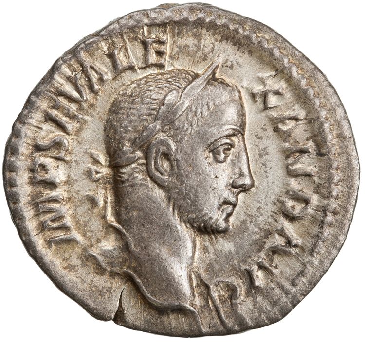 RIC IV Severus Alexander 190a, аверс, American Numismatic Society (ans)