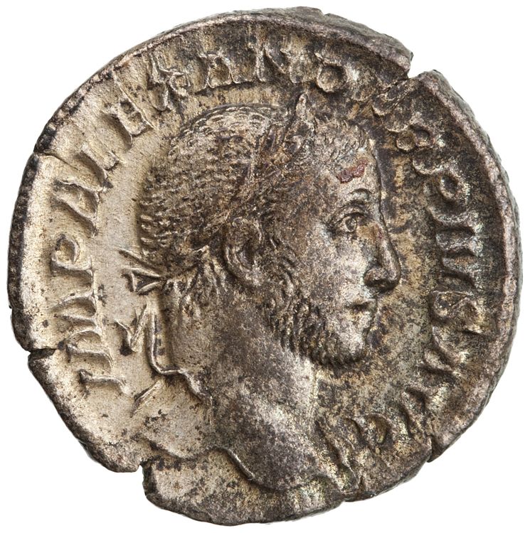 RIC IV Severus Alexander 250b, аверс, American Numismatic Society (ans)