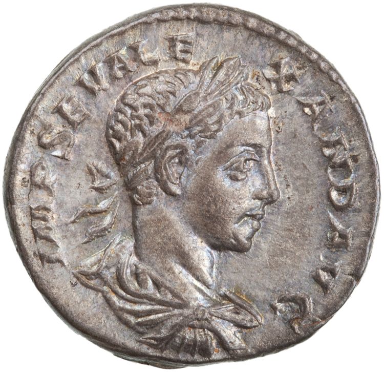 RIC IV Severus Alexander 302d, аверс, American Numismatic Society (ans)