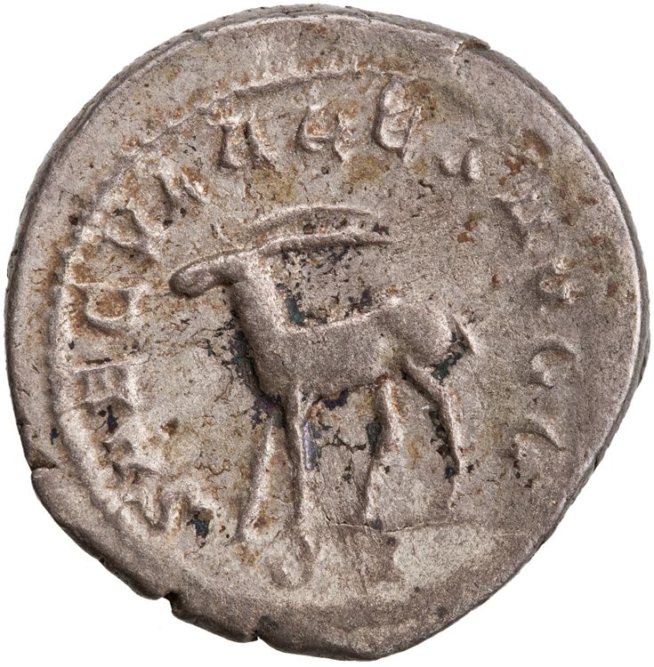 RIC IV Philip I 21, реверс, American Numismatic Society (ans)