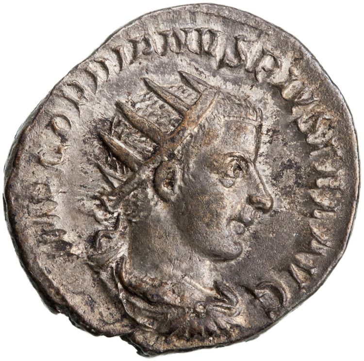 RIC IV Gordian III 209b, obverse, American Numismatic Society (ans)