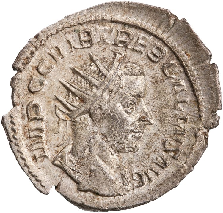 RIC IV Trebonianus Gallus 71, obverse, American Numismatic Society (ans)