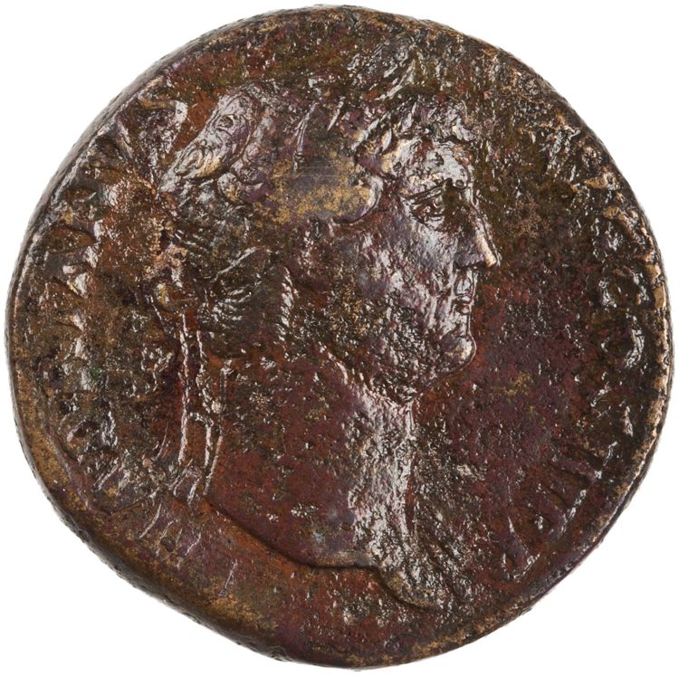 RIC II Hadrian 759e, аверс, American Numismatic Society (ans)