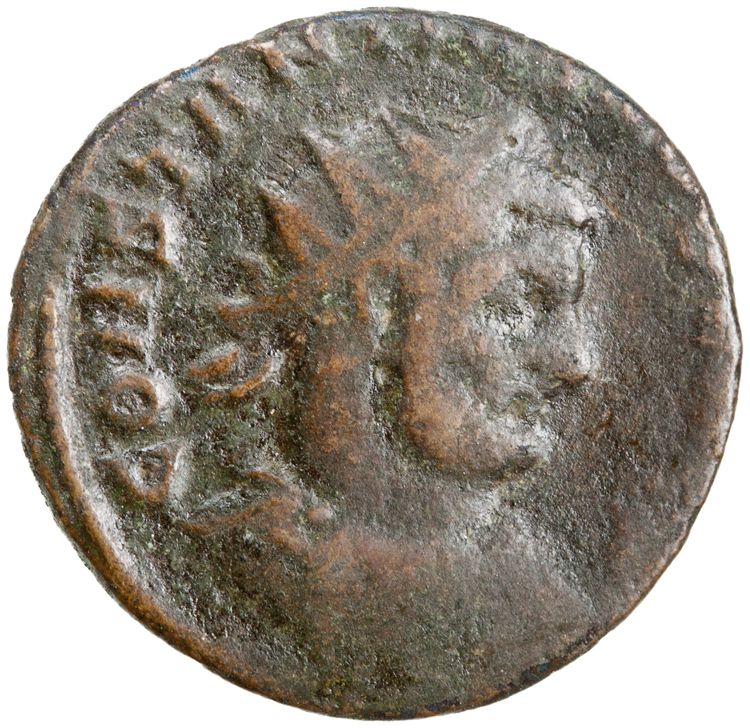 RIC VI Rome 88a, аверс, American Numismatic Society (ans)