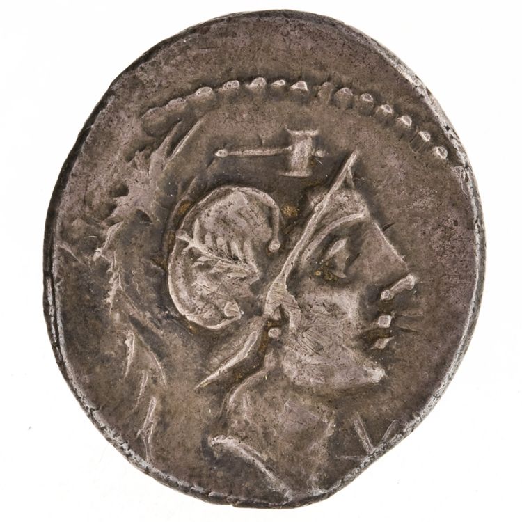 RRC 335/3d, obverse, American Numismatic Society (ans)