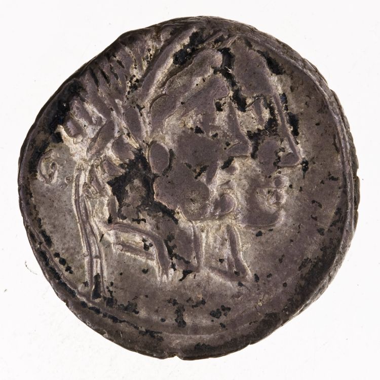 RRC 346/1c, аверс, American Numismatic Society (ans)
