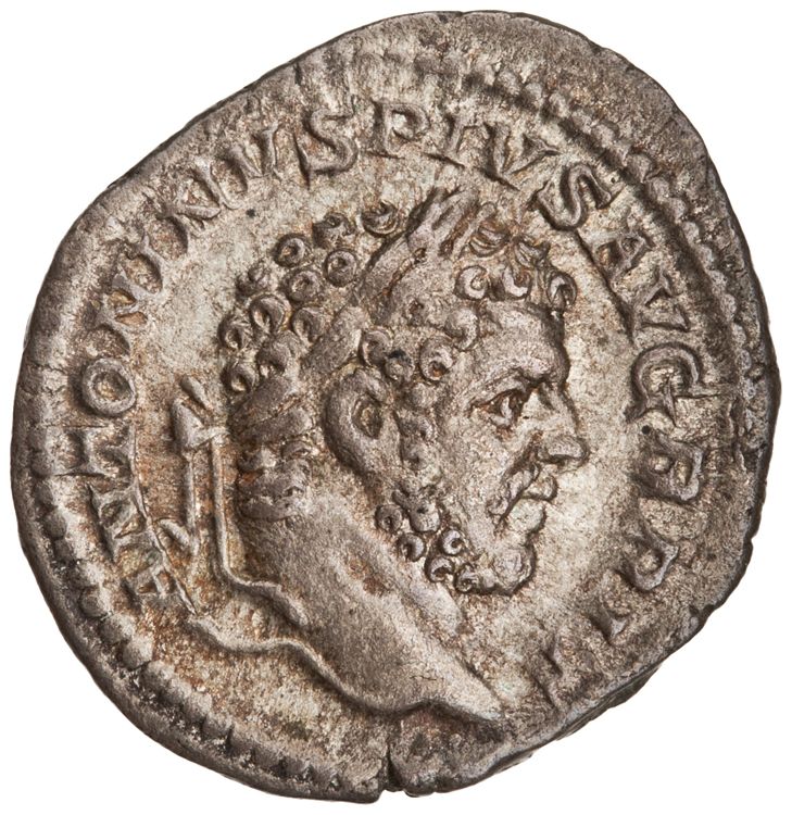 RIC IV Caracalla 220, аверс, American Numismatic Society (ans)