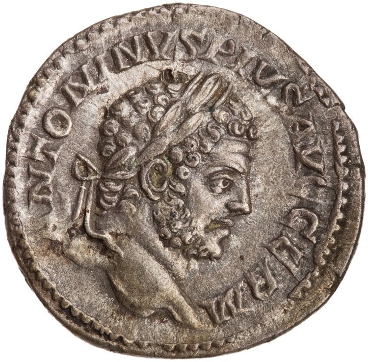 RIC IV Caracalla 254, аверс, American Numismatic Society (ans)