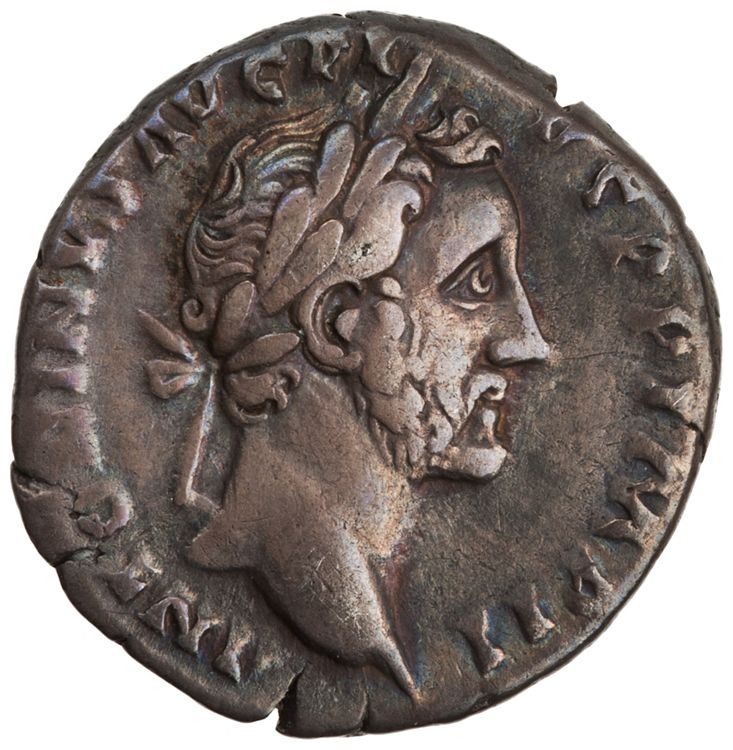 RIC III Antoninus Pius 252, аверс, American Numismatic Society (ans)