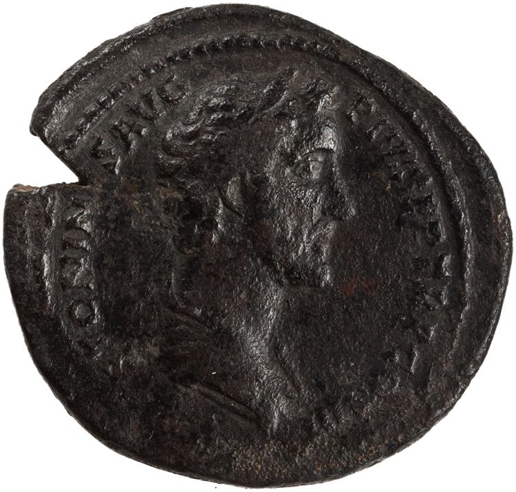 RIC III Antoninus Pius 600b, аверс, American Numismatic Society (ans)
