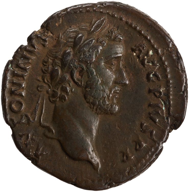 RIC III Antoninus Pius 557, аверс, American Numismatic Society (ans)