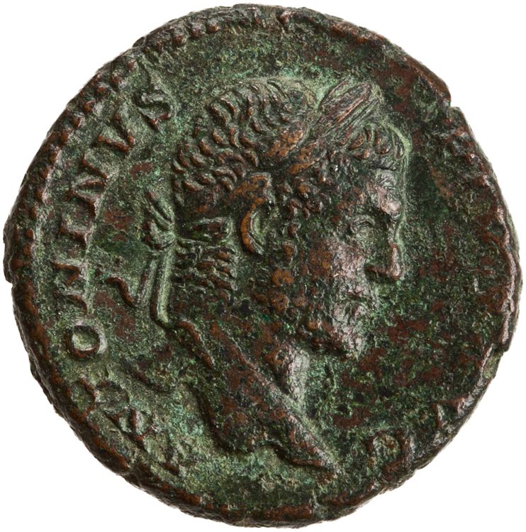 RIC IV Caracalla 457a, аверс, American Numismatic Society (ans)