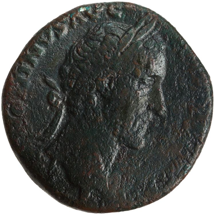 RIC III Antoninus Pius 785, аверс, American Numismatic Society (ans)