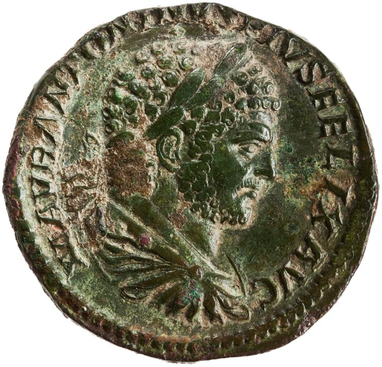 RIC IV Caracalla 526A, аверс, American Numismatic Society (ans)