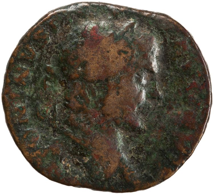 RIC IV Caracalla 490, аверс, American Numismatic Society (ans)