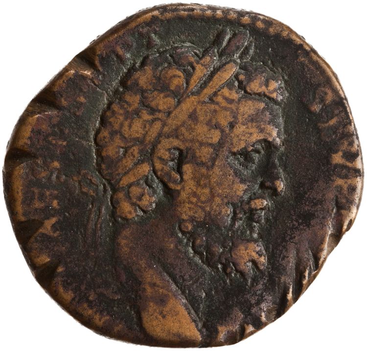 RIC IV Septimius Severus 652, аверс, American Numismatic Society (ans)