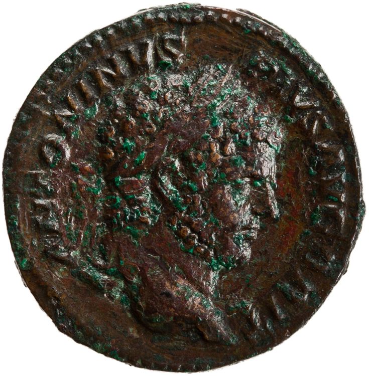 RIC IV Caracalla 506, аверс, American Numismatic Society (ans)