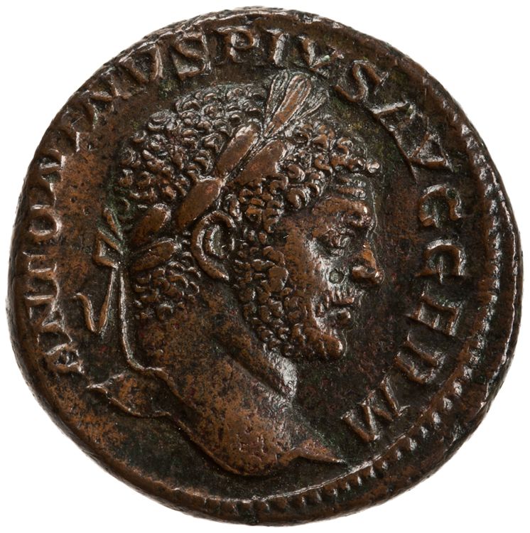 RIC IV Caracalla 567A, аверс, American Numismatic Society (ans)