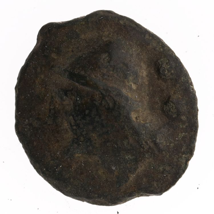 RRC 18/5, аверс, American Numismatic Society (ans)