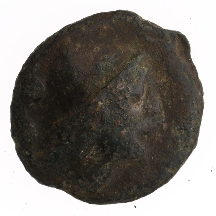 RRC 18/5, реверс, American Numismatic Society (ans)